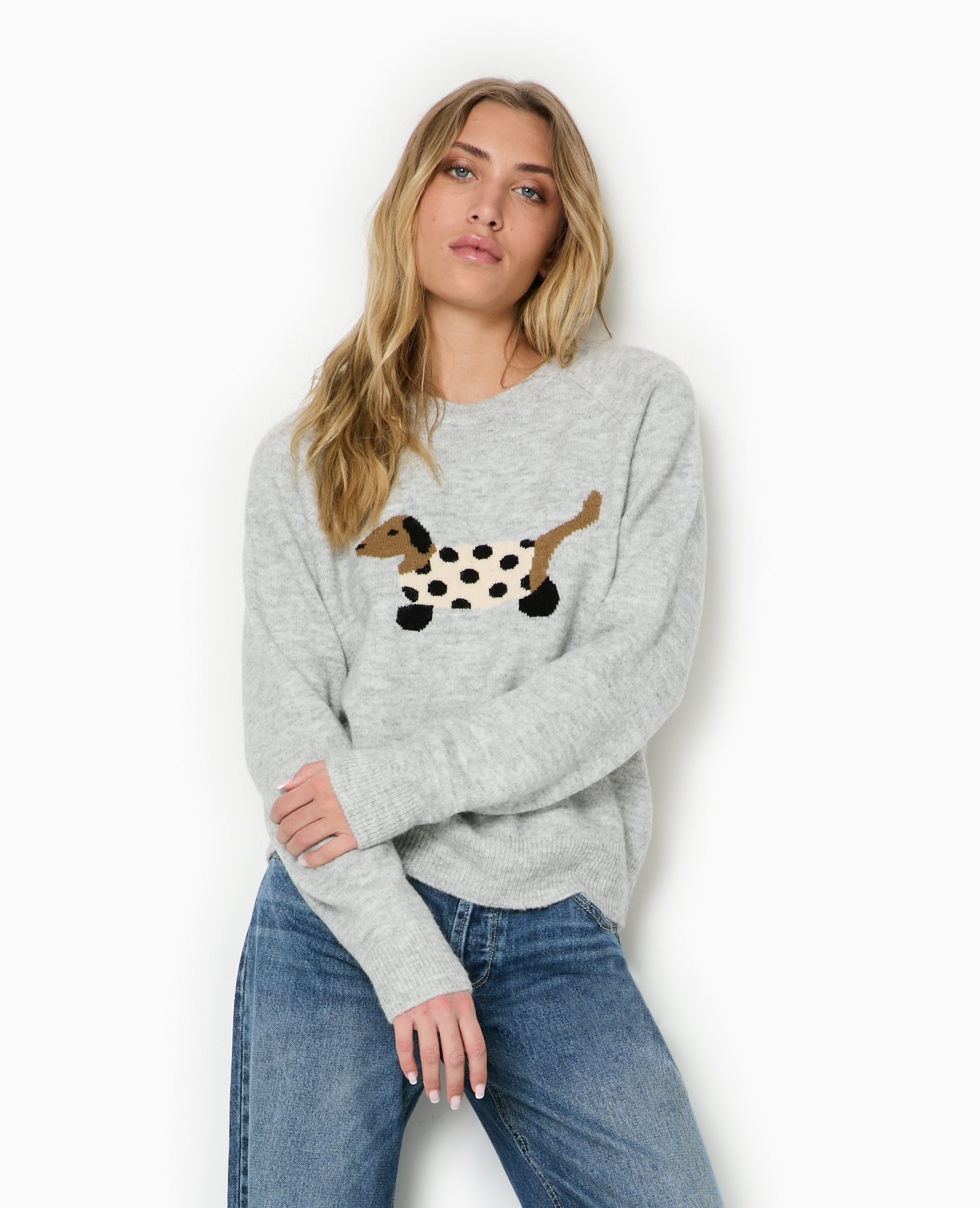 Pull en maille avec chien