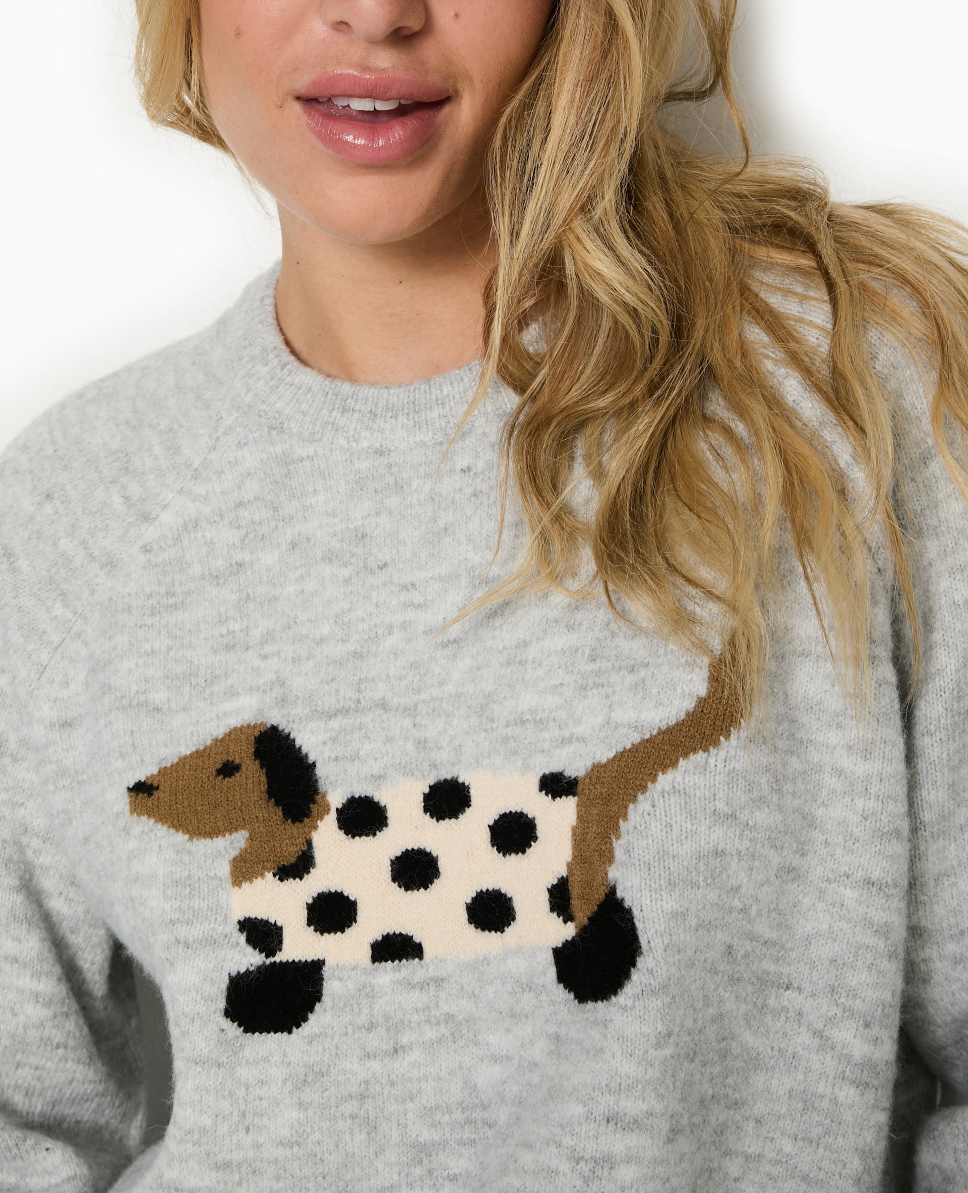 Pull en maille avec chien