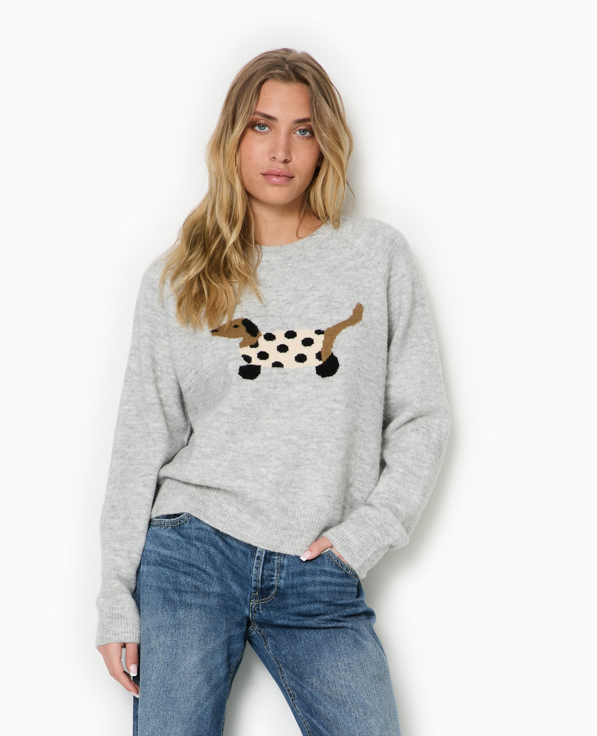 Pull en maille avec chien
