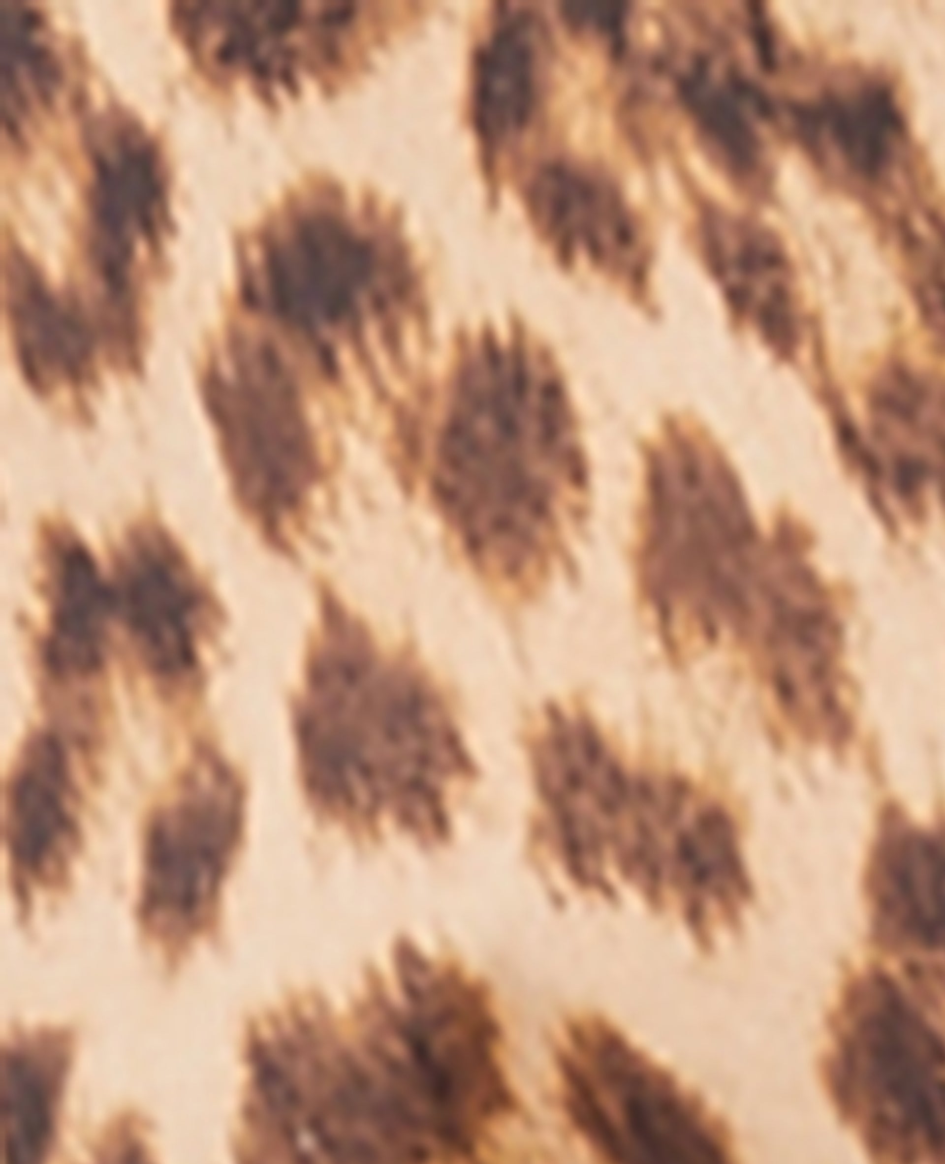 Blouse motif léopard avec manches flare