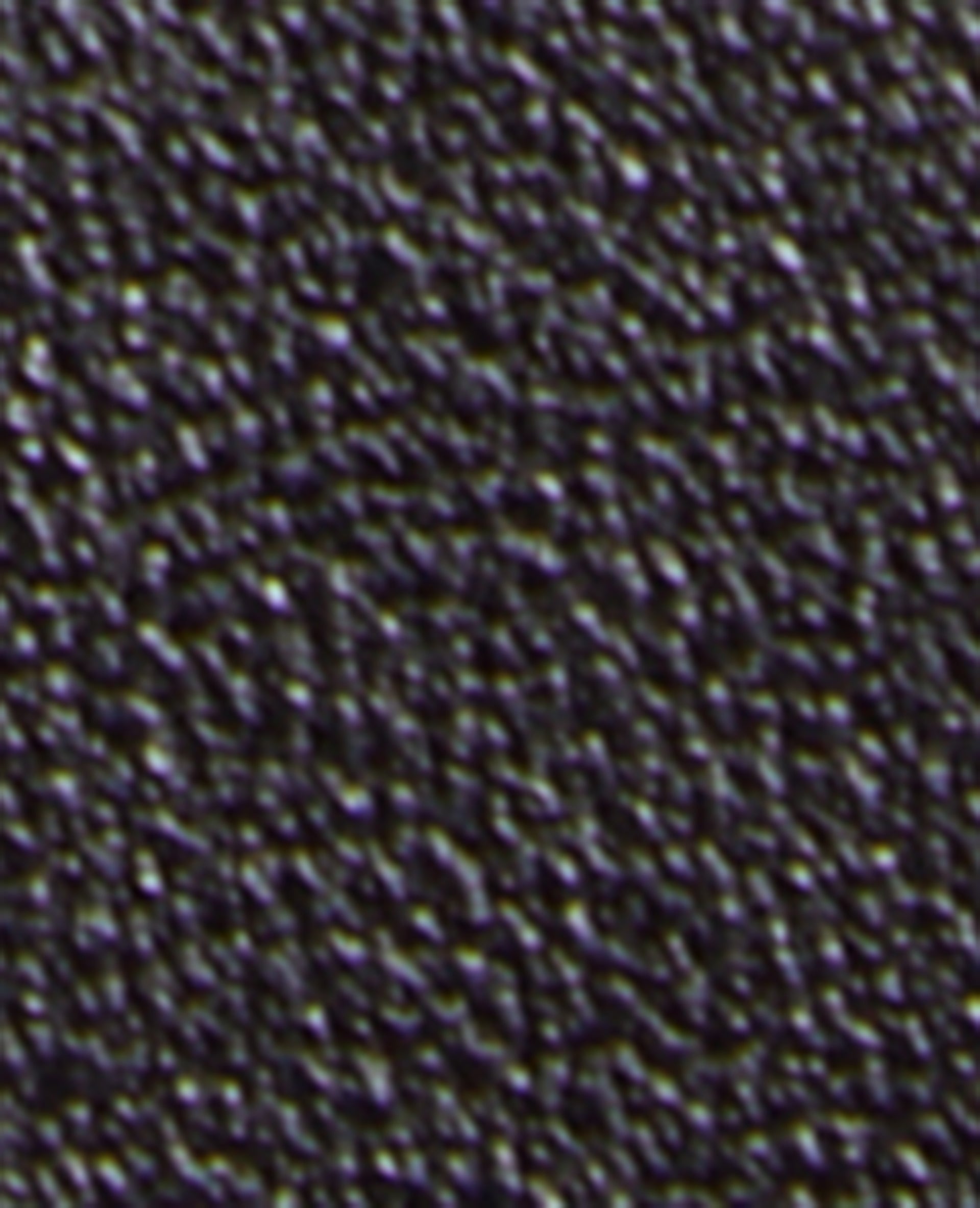 Ceinture boucle ovale