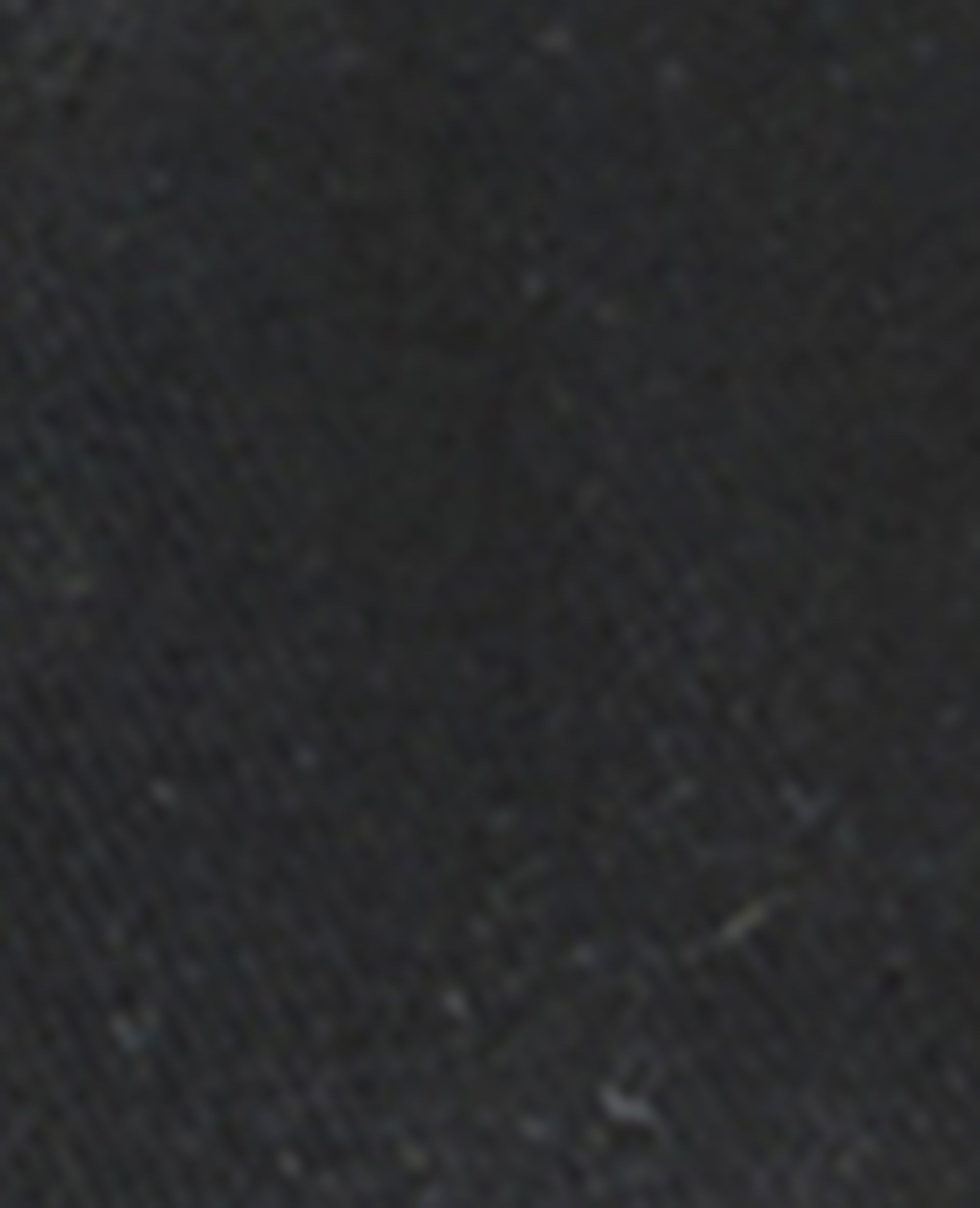 Casquette avec broderie YALE