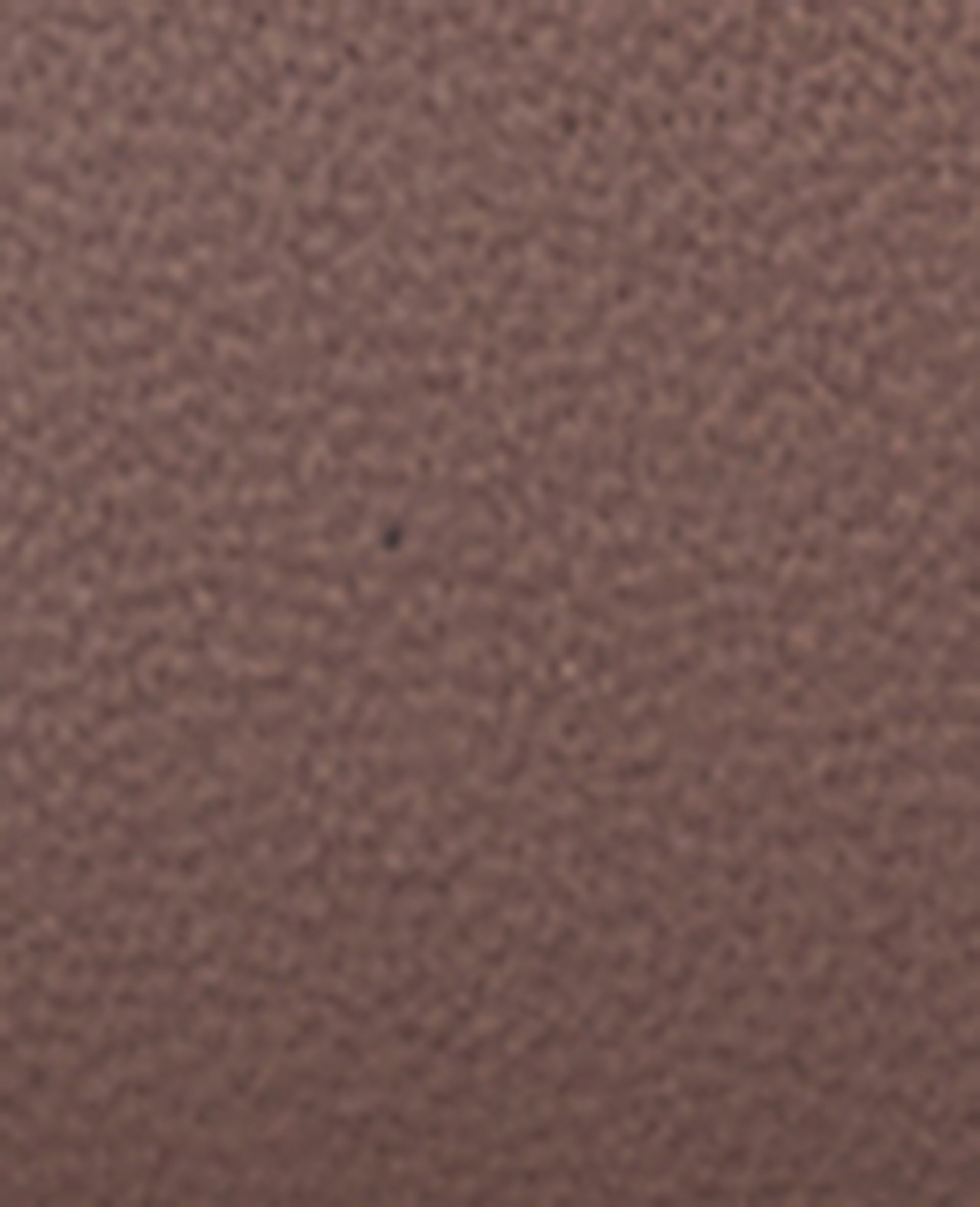 Ceinture avec boucle ovale