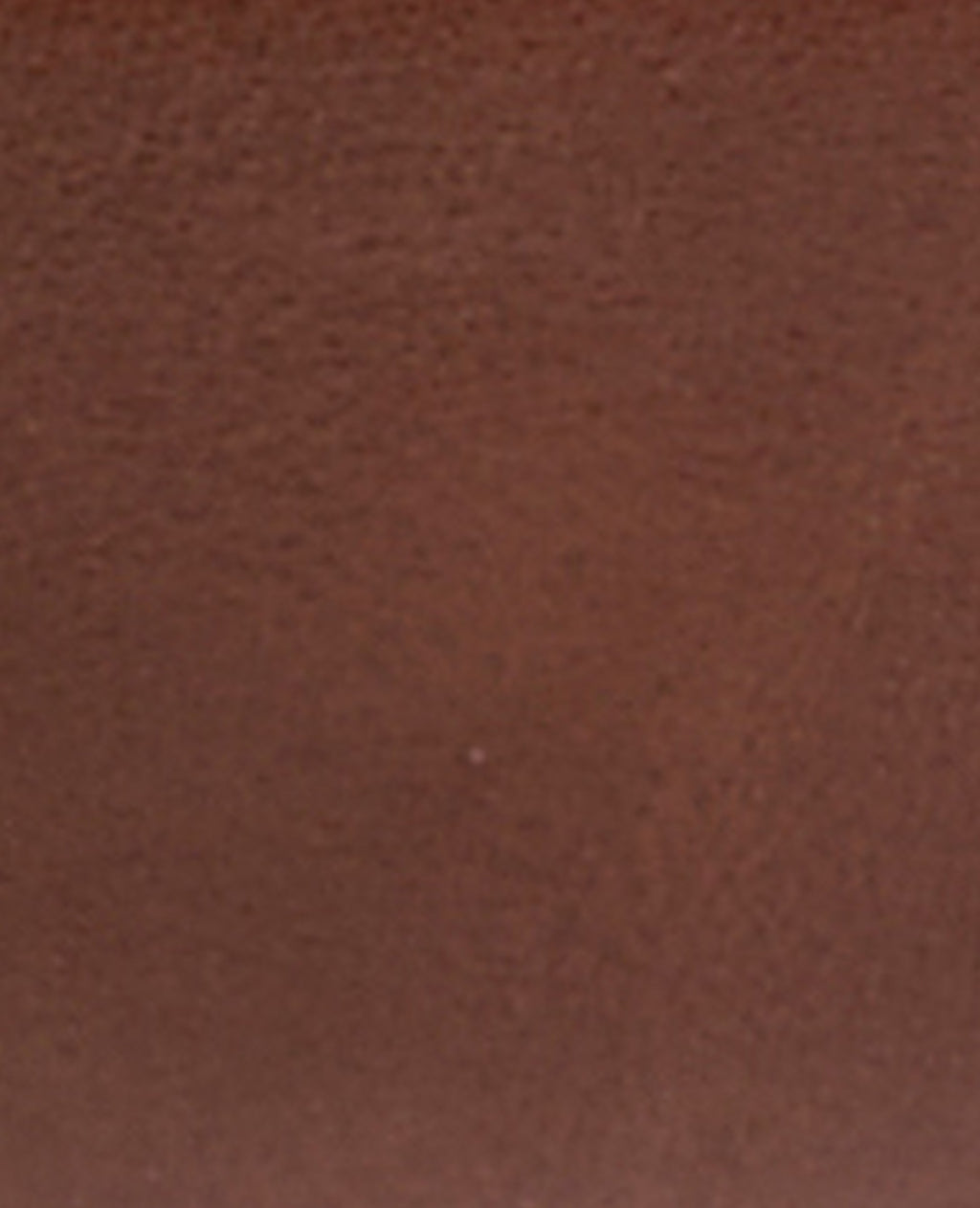Ceinture en simili cuir avec boucle dorée