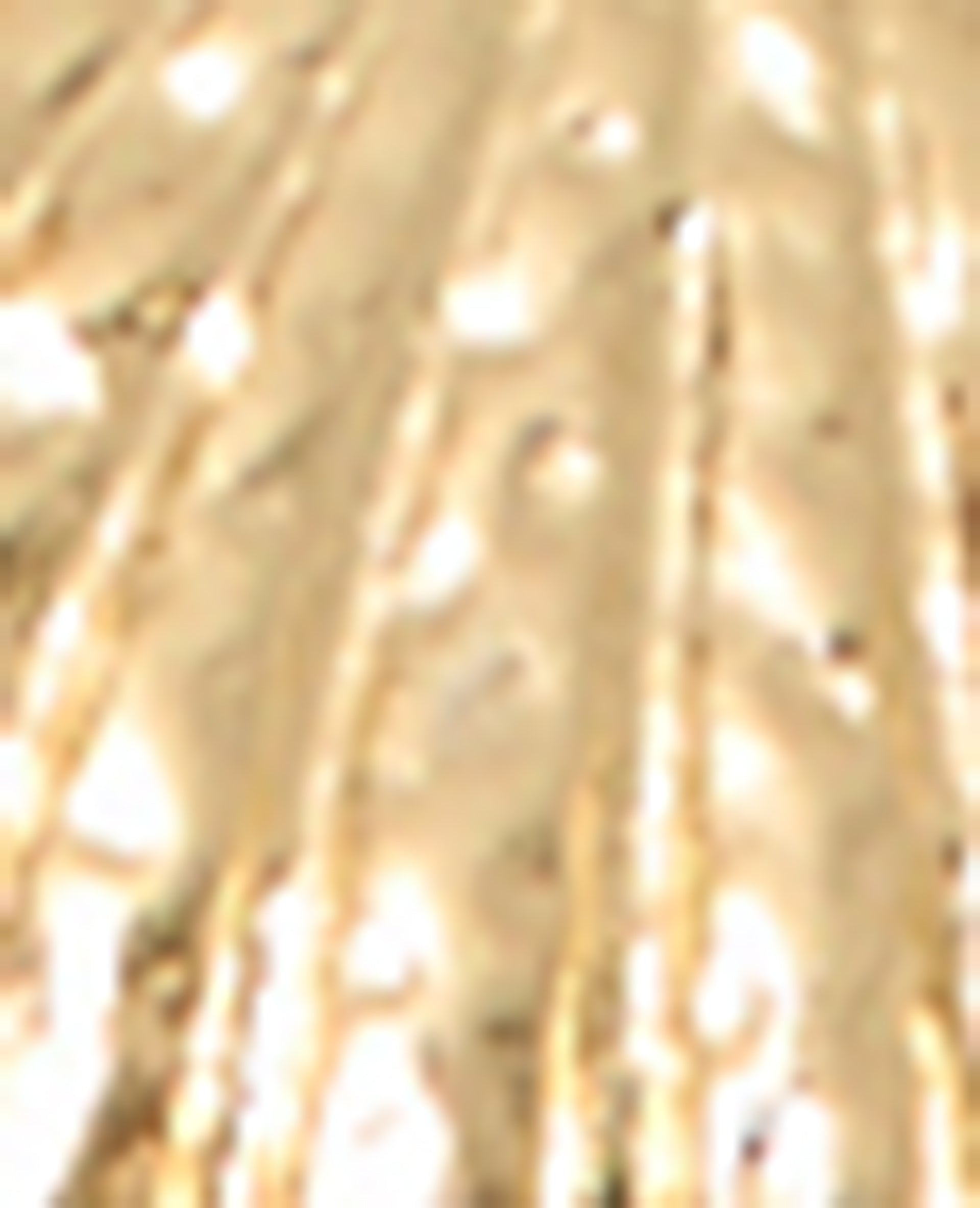 Bijou de sac avec coquillages
